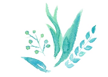 image17